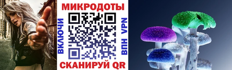 Купить  Усть-Лабинск  Псилоцибиновые грибы MAGIC MUSHROOMS 
